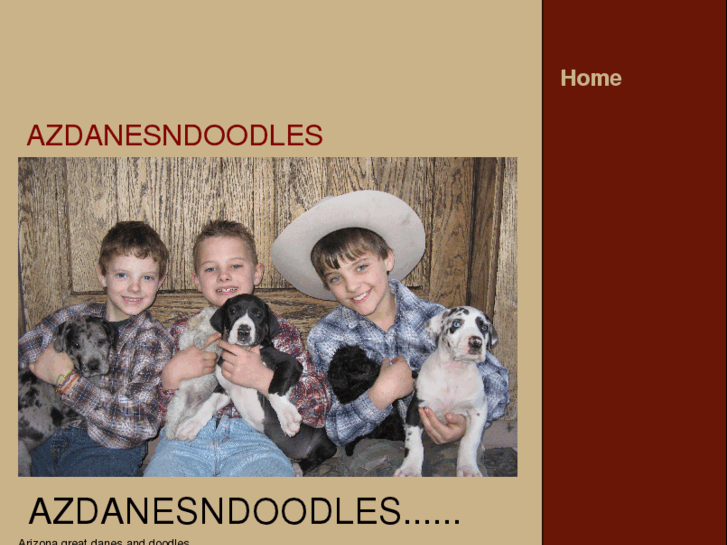 www.azdanesndoodles.com