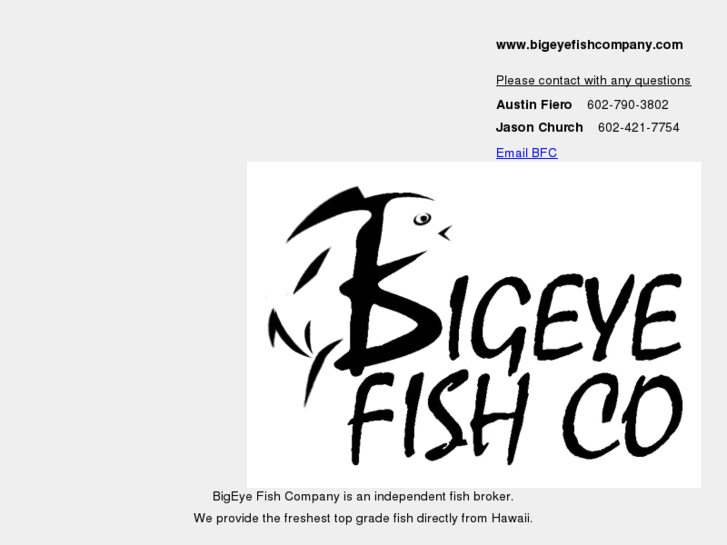 www.bigeyefishcompany.com