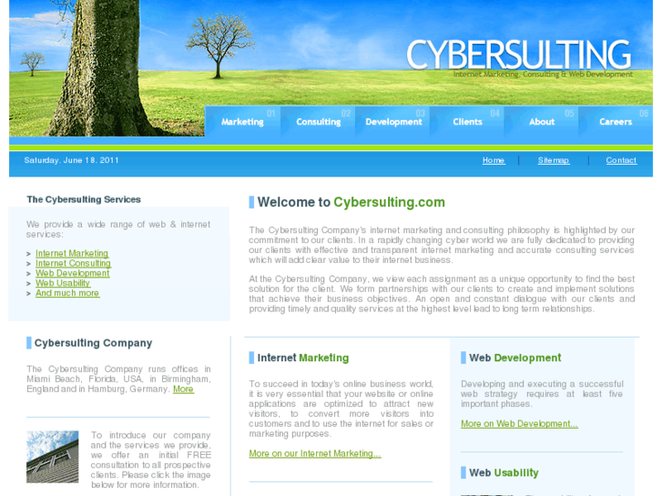 www.cybersulting.biz