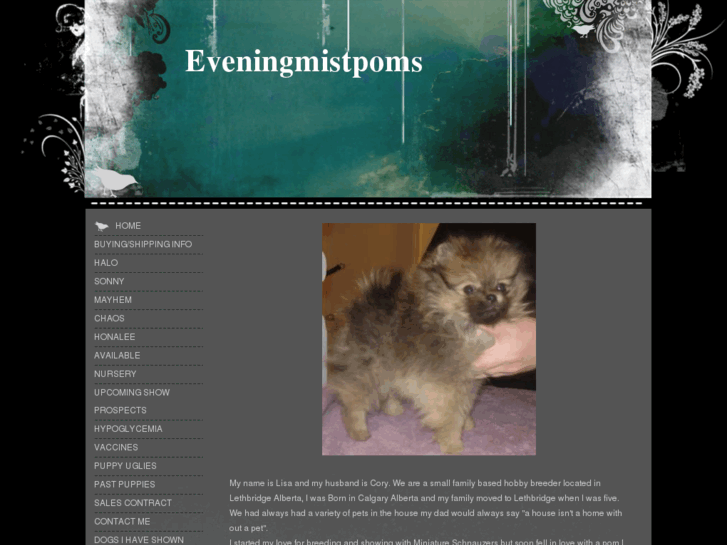 www.eveningmistpoms.com