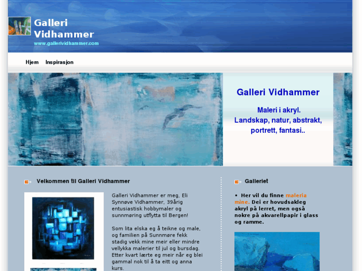 www.gallerividhammer.com