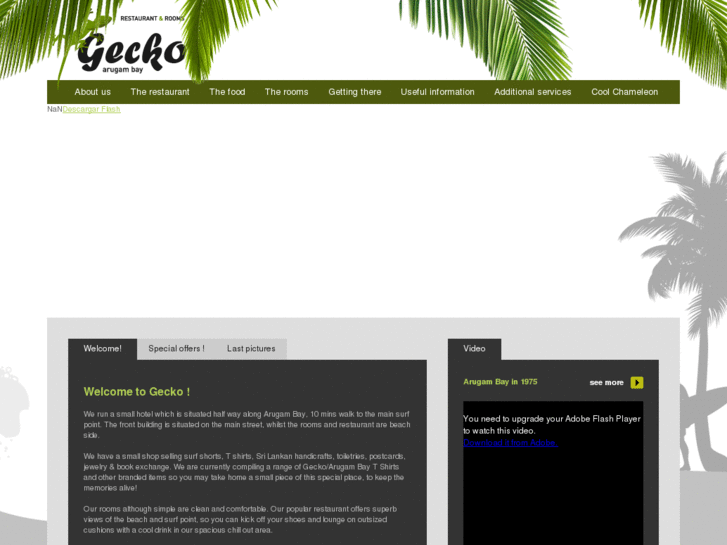 www.geckoarugambay.com