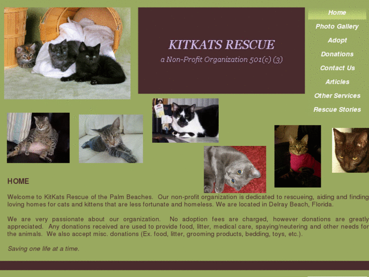 www.kitkatsrescue.com