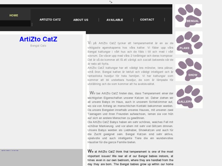 www.artiztocatz.com