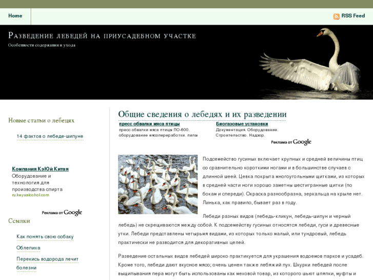 www.cob-swan.ru