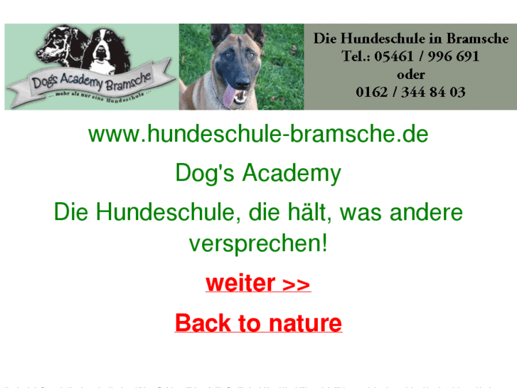 www.hunde-training.info