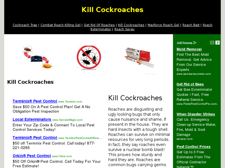 www.killcockroaches.org