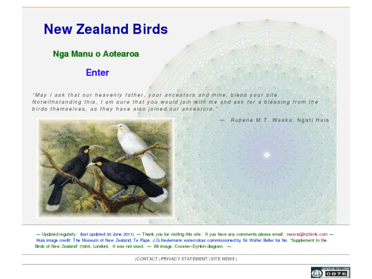 www.nzbirds.com