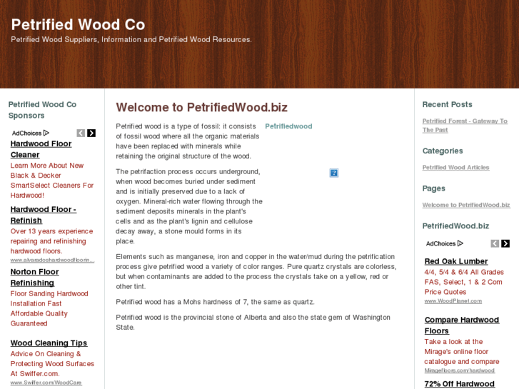 www.petrifiedwood.biz