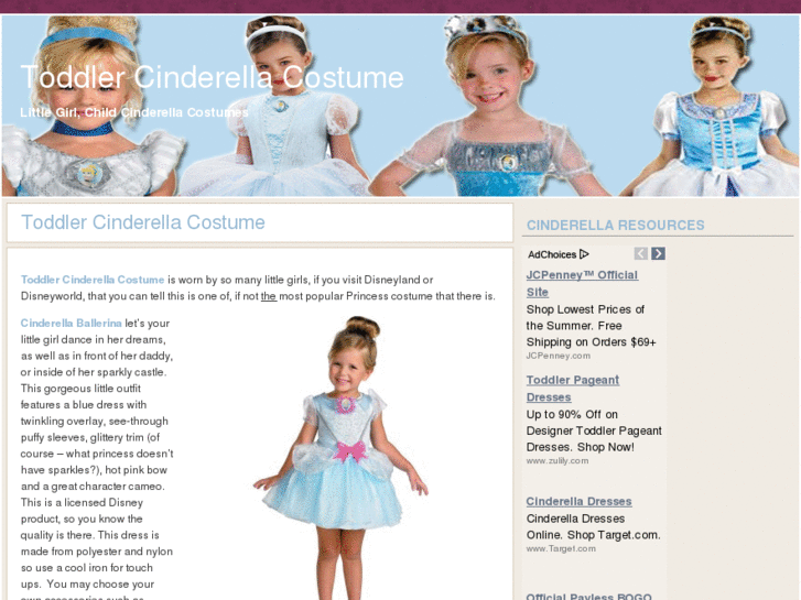 www.toddlercinderellacostume.com