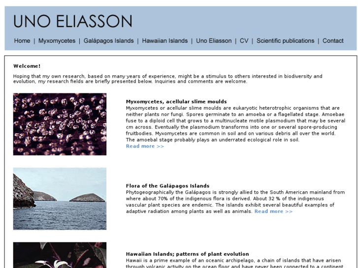 www.unoeliasson.com