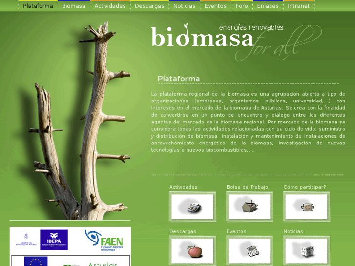 www.asturbiomasa.es