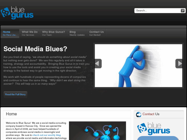 www.bluegurus.com