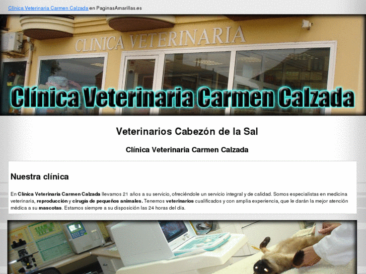 www.cvcarmencalzada.com