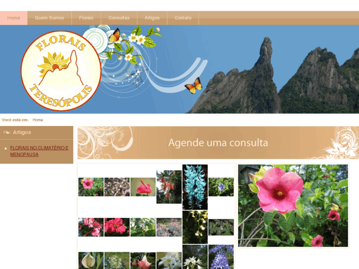 www.floraisteresopolis.com