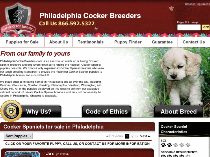 www.philadelphiacockerbreeders.com