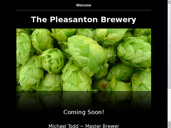 www.pleasantonbrewery.com