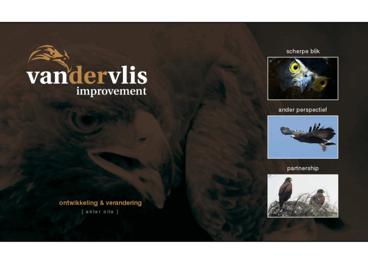 www.vandervlisimprovement.com