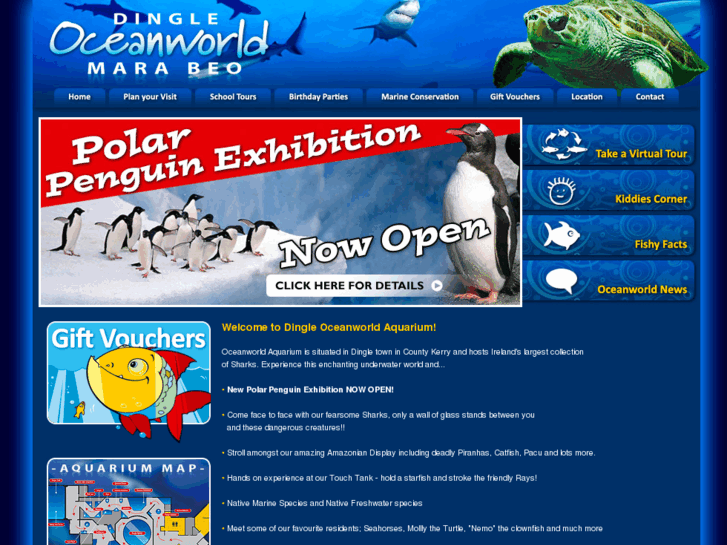 www.dingle-oceanworld.ie