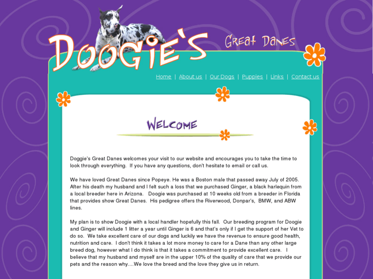 www.doogies-greatdanes.com