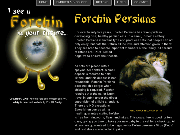 www.forchin.com