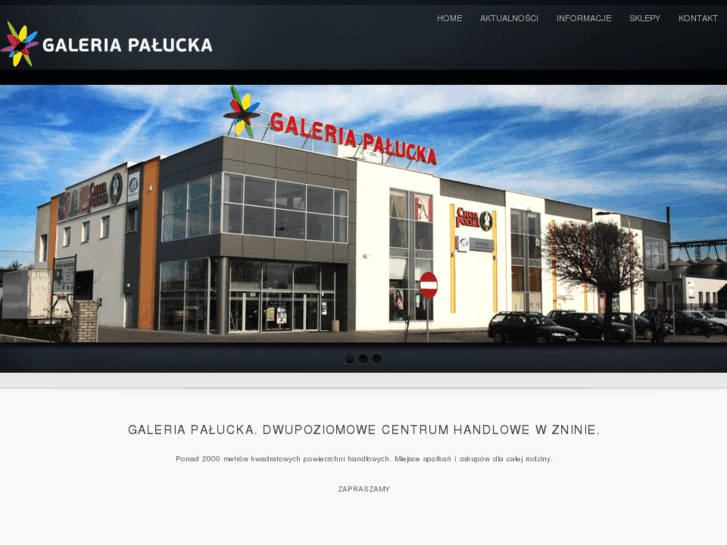 www.galeriapalucka.pl