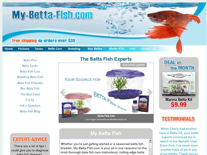 www.my-betta-fish.com