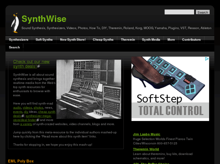 www.synthwise.com