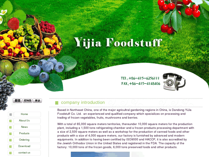 www.yijiafoods.com