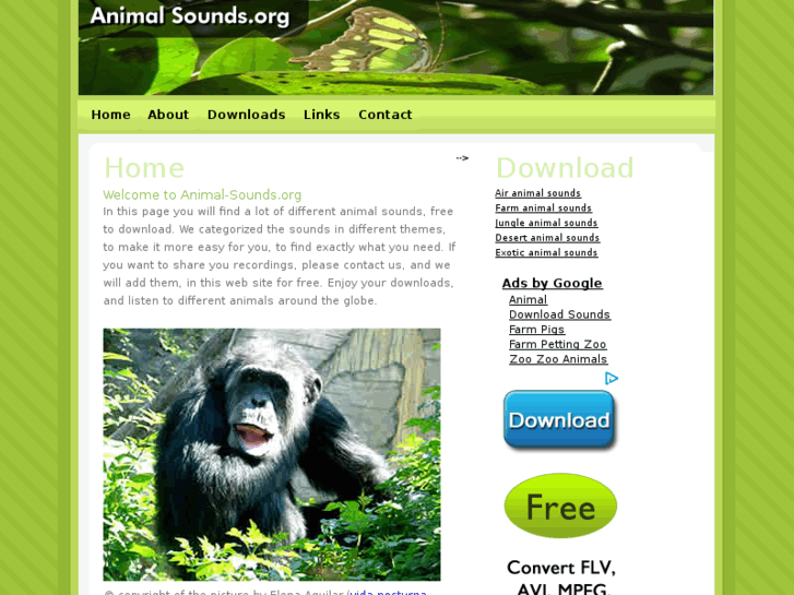 www.animal-sounds.org