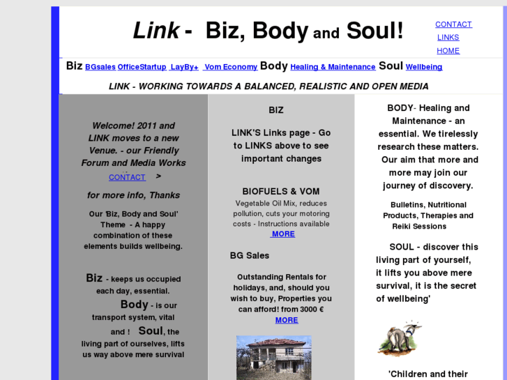 www.bizbodysoul.com