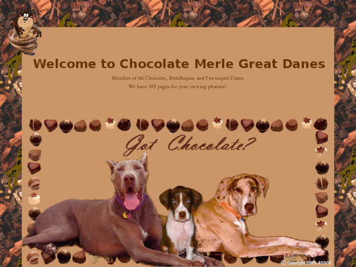 www.chocolatemerledanes.com