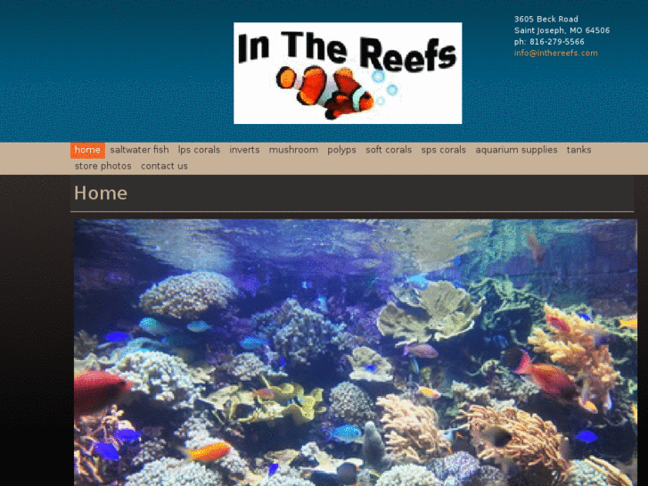 www.inthereefs.com