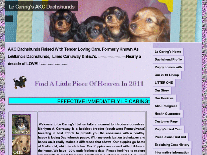 www.lecaringsakcdachshunds.com