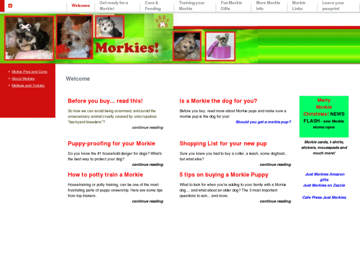 www.morkiedogs.info