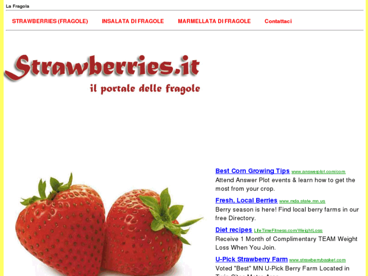 www.strawberries.it