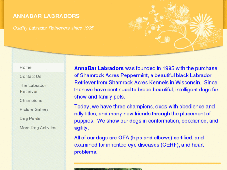 www.annabarlabradors.com