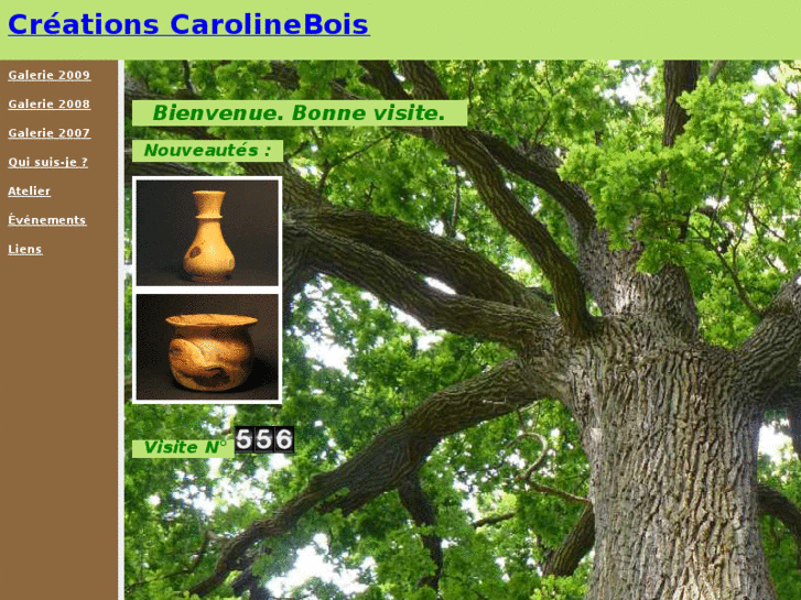 www.carolinebois.com