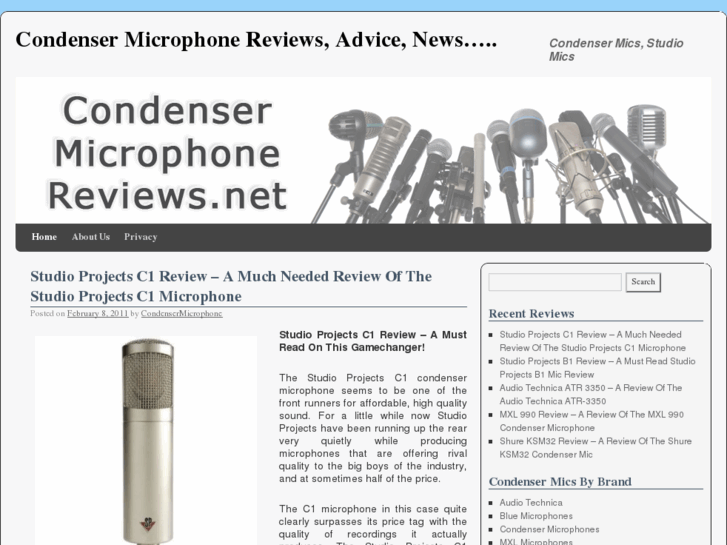 www.condensermicrophonereviews.net