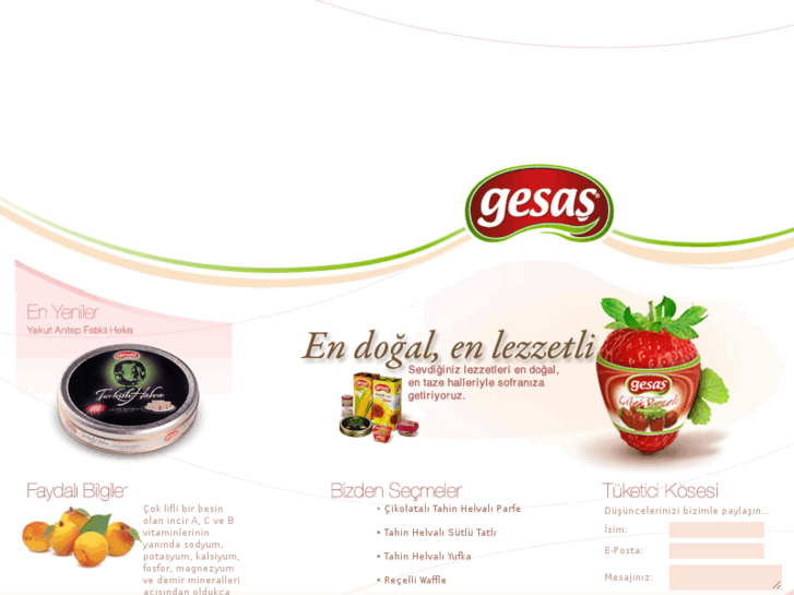 www.gesas.com.tr