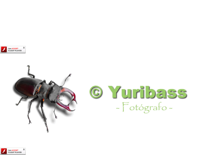 www.yuribass.com