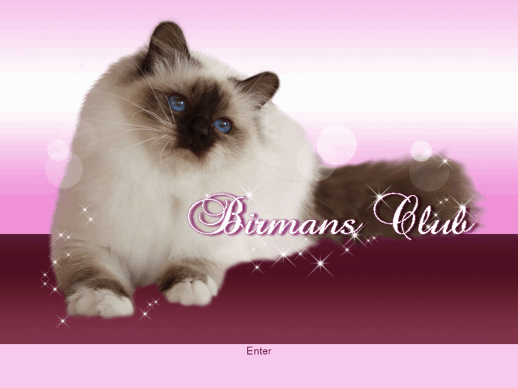 www.birmansclub.com