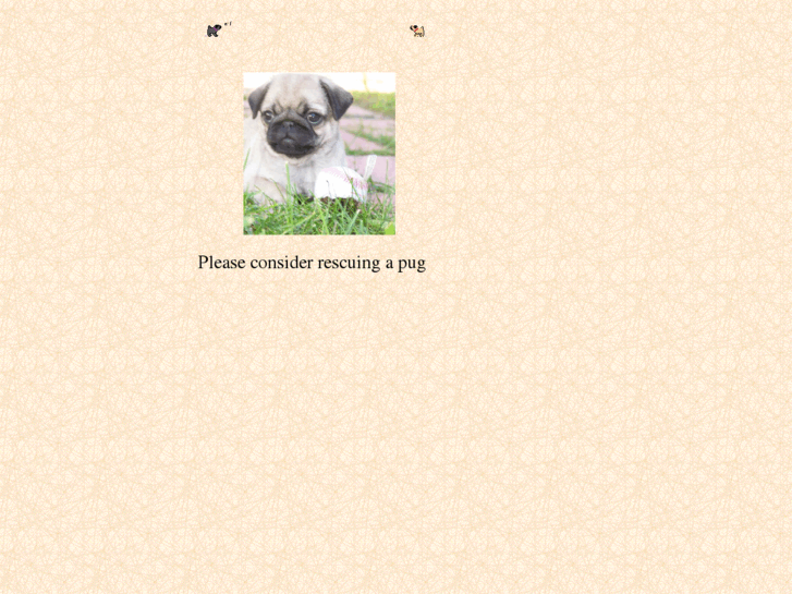 www.mainelypugs.com