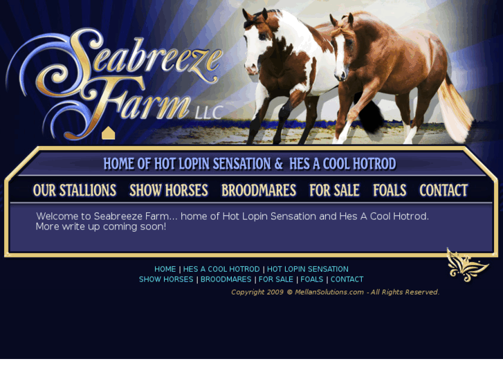 www.seabreezepleasurehorses.com