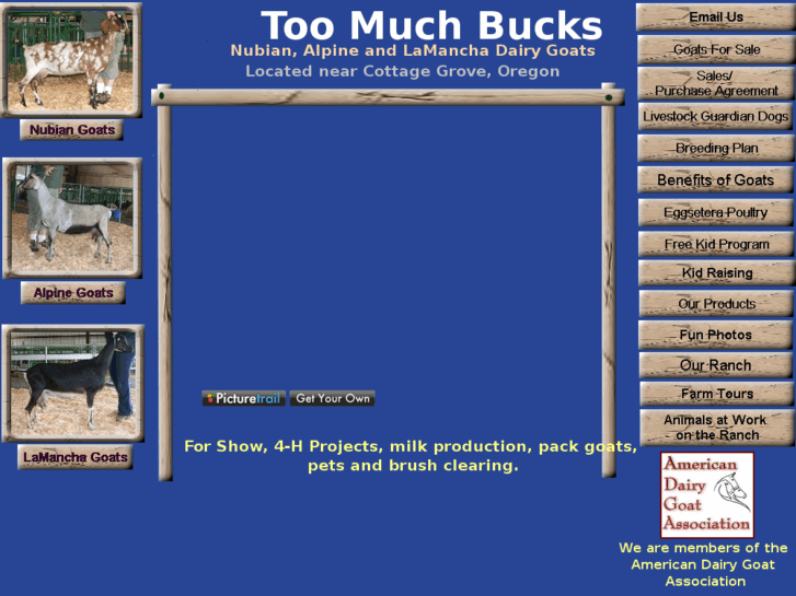 www.toomuchbucks.com