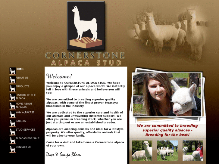 www.cornerstonestud.com