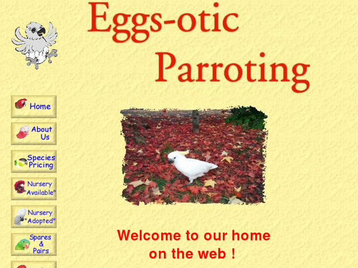 www.eggsoticparroting.com