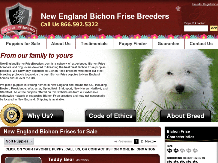 www.newenglandbichonfrisebreeders.com