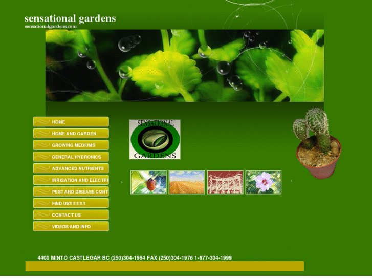 www.sensationalgardens.com