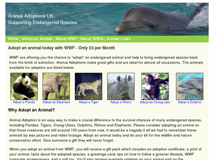 www.animaladoptions.co.uk
